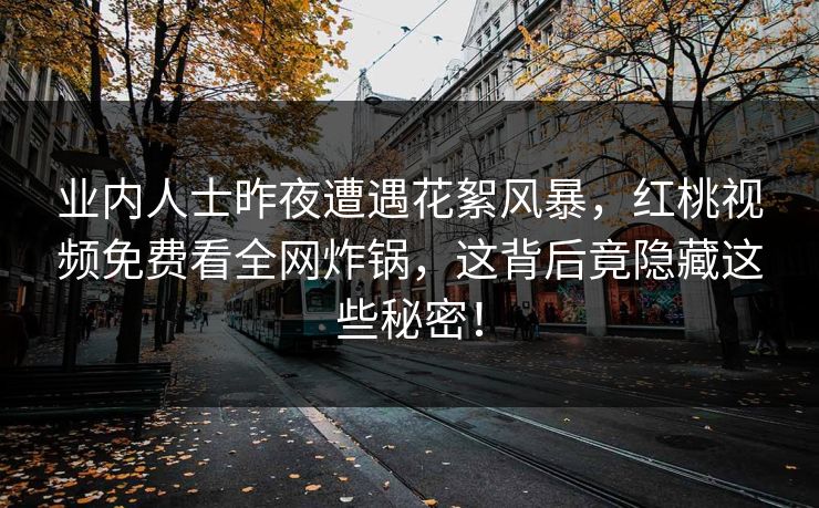 业内人士昨夜遭遇花絮风暴，红桃视频免费看全网炸锅，这背后竟隐藏这些秘密！