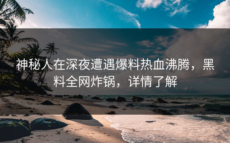 神秘人在深夜遭遇爆料热血沸腾，黑料全网炸锅，详情了解