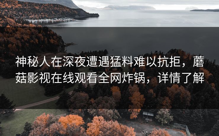 神秘人在深夜遭遇猛料难以抗拒，蘑菇影视在线观看全网炸锅，详情了解