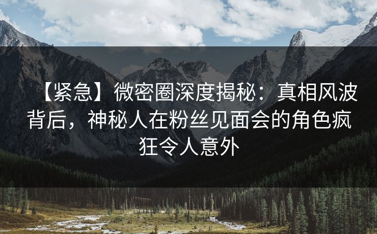 【紧急】微密圈深度揭秘：真相风波背后，神秘人在粉丝见面会的角色疯狂令人意外